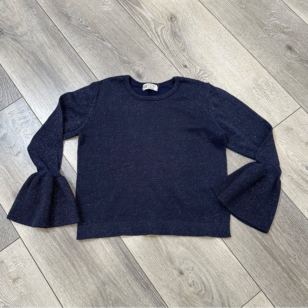 H&M sparkly sweater